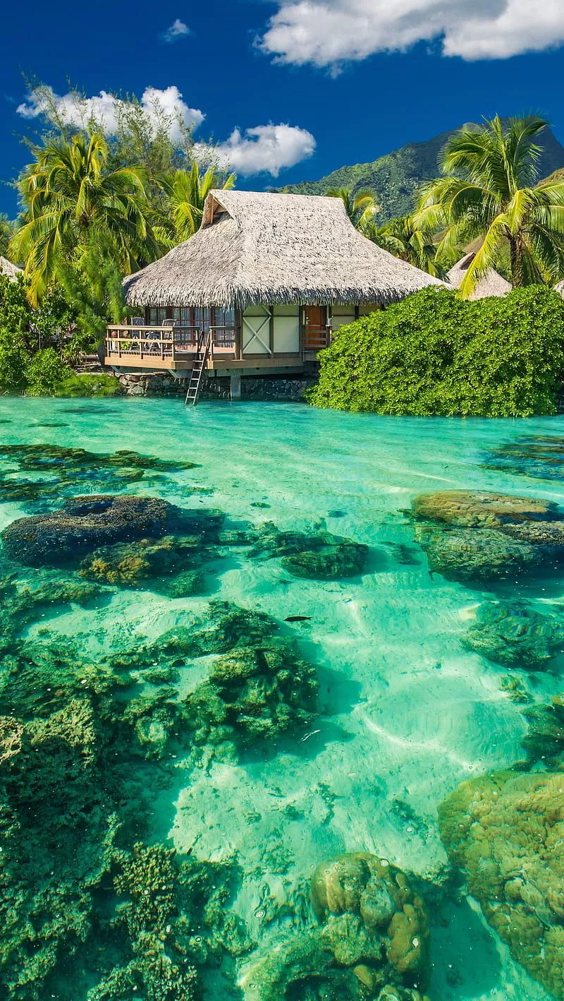 Nature, ocean, sunshine, HD phone wallpaper