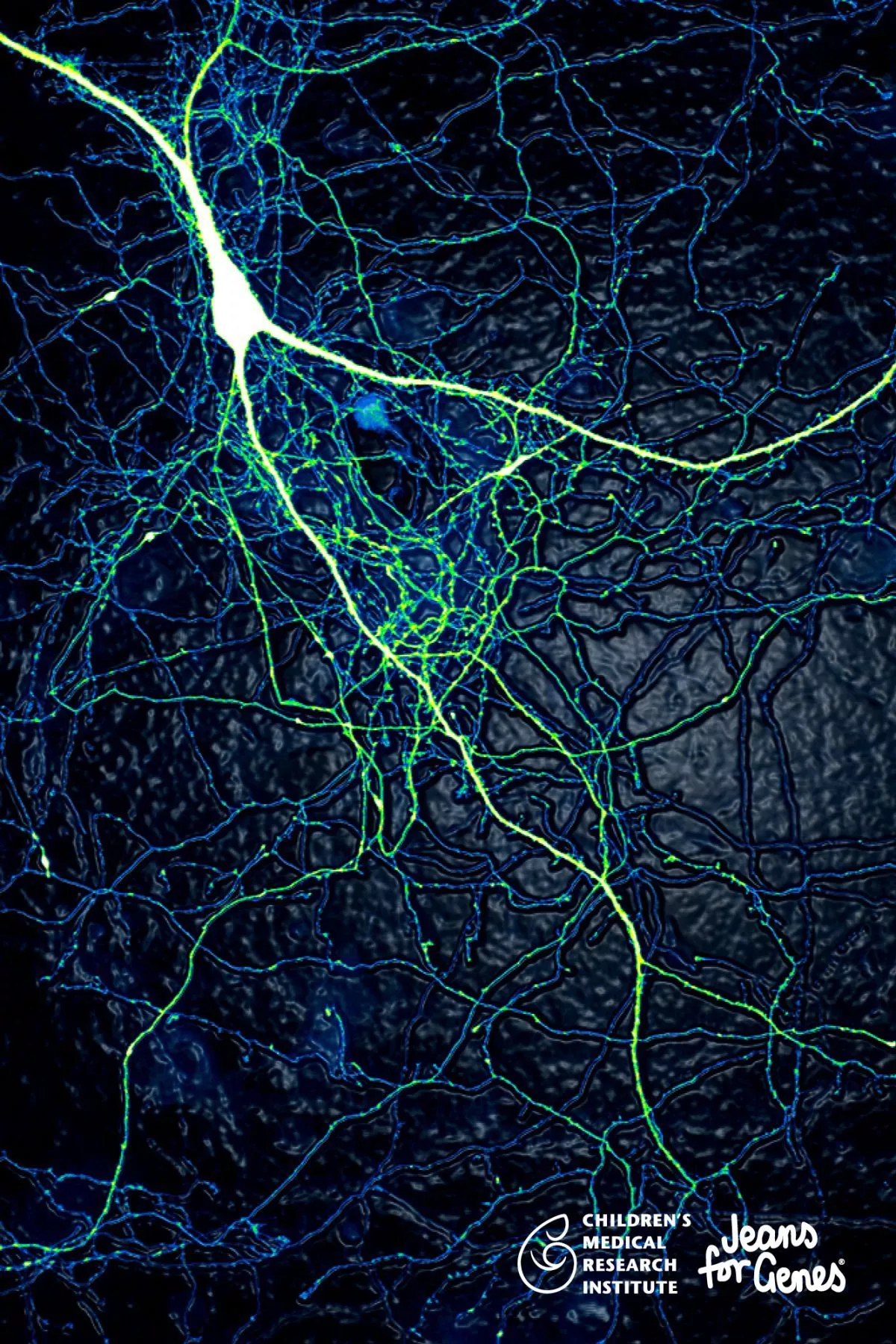 Download Your Free Mobile Wallpaper