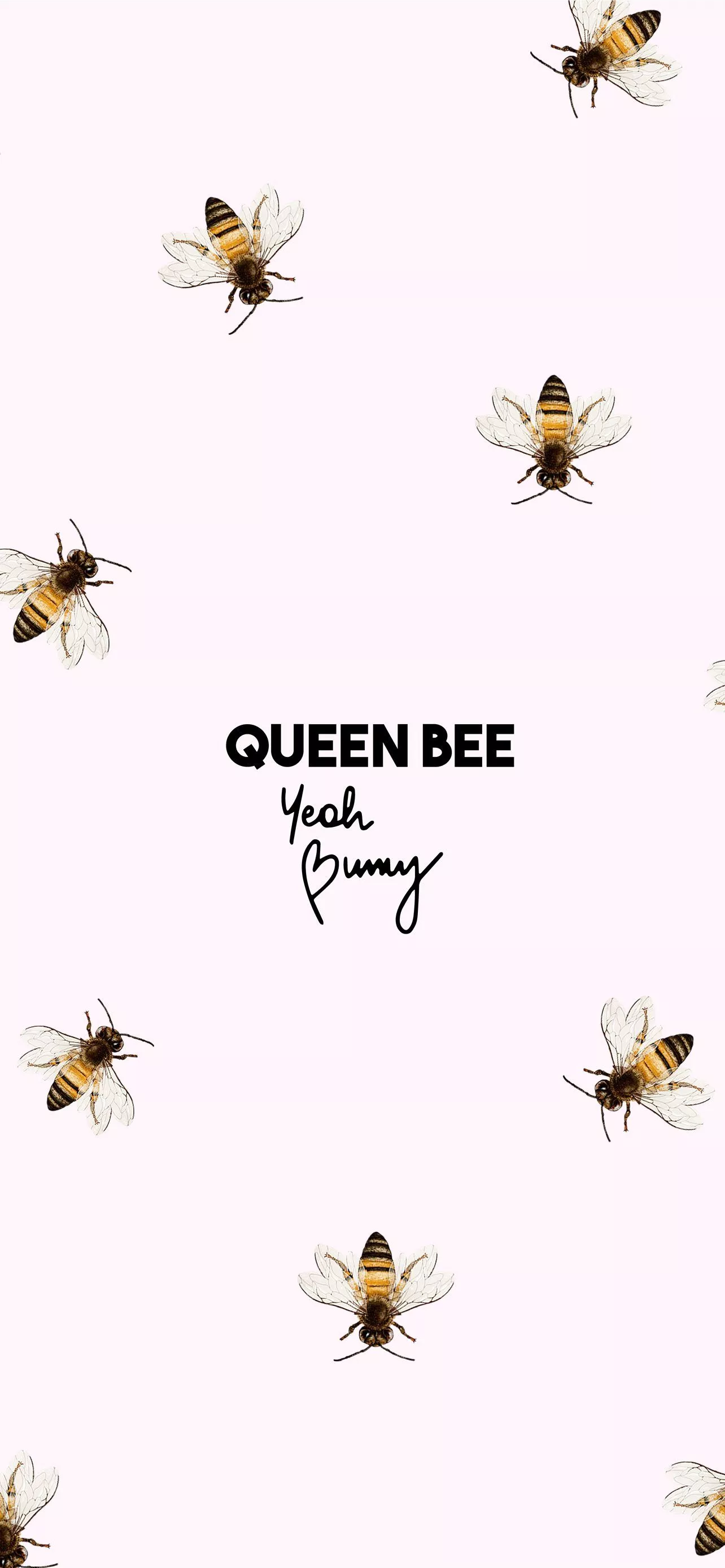 Best Honey bee iPhone HD Wallpaper
