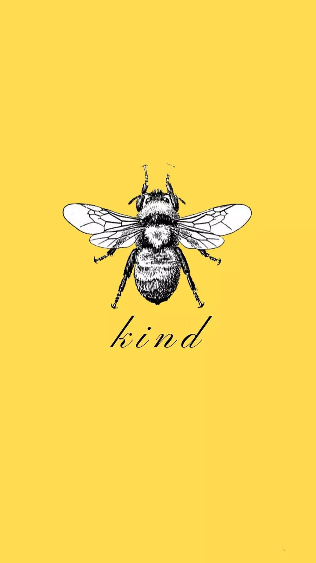 Download Bee Kind iPhone Wallpaper