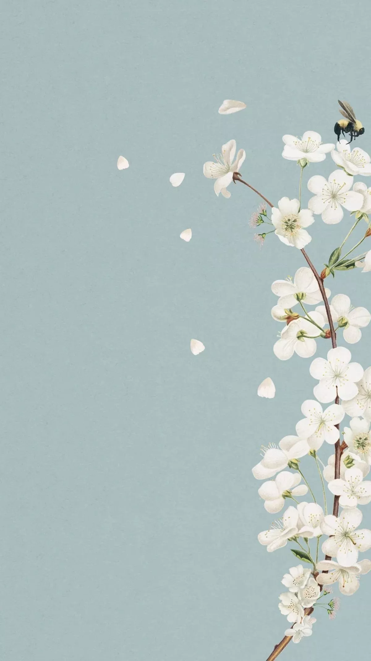 Minimalistic White Flower With Wallpaper