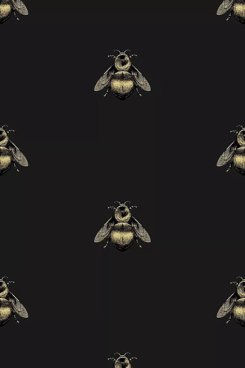 Bees, nature, HD phone wallpaper