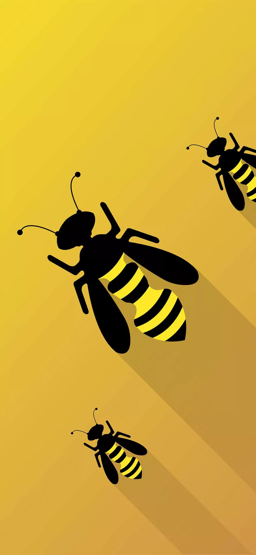 Bee iPhone Bees Graphic Art Wallpaper