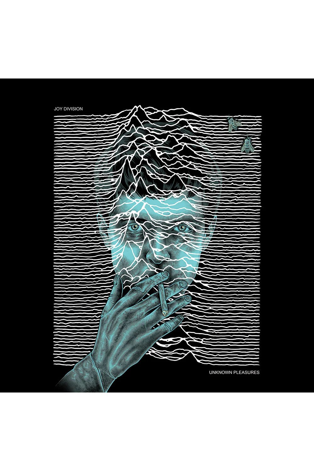 by Josh Beamish Complex Gallery