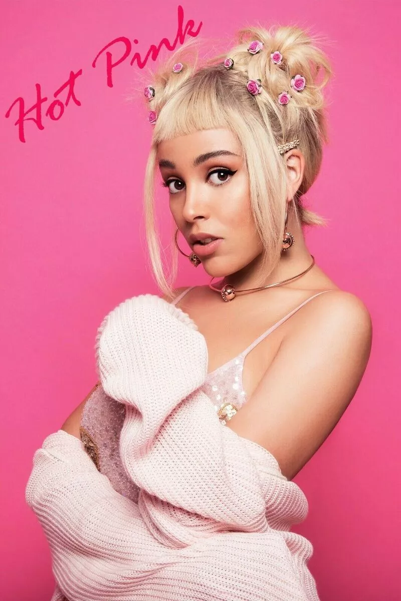 Doja Cat Hot Pink Album Poster 20x30