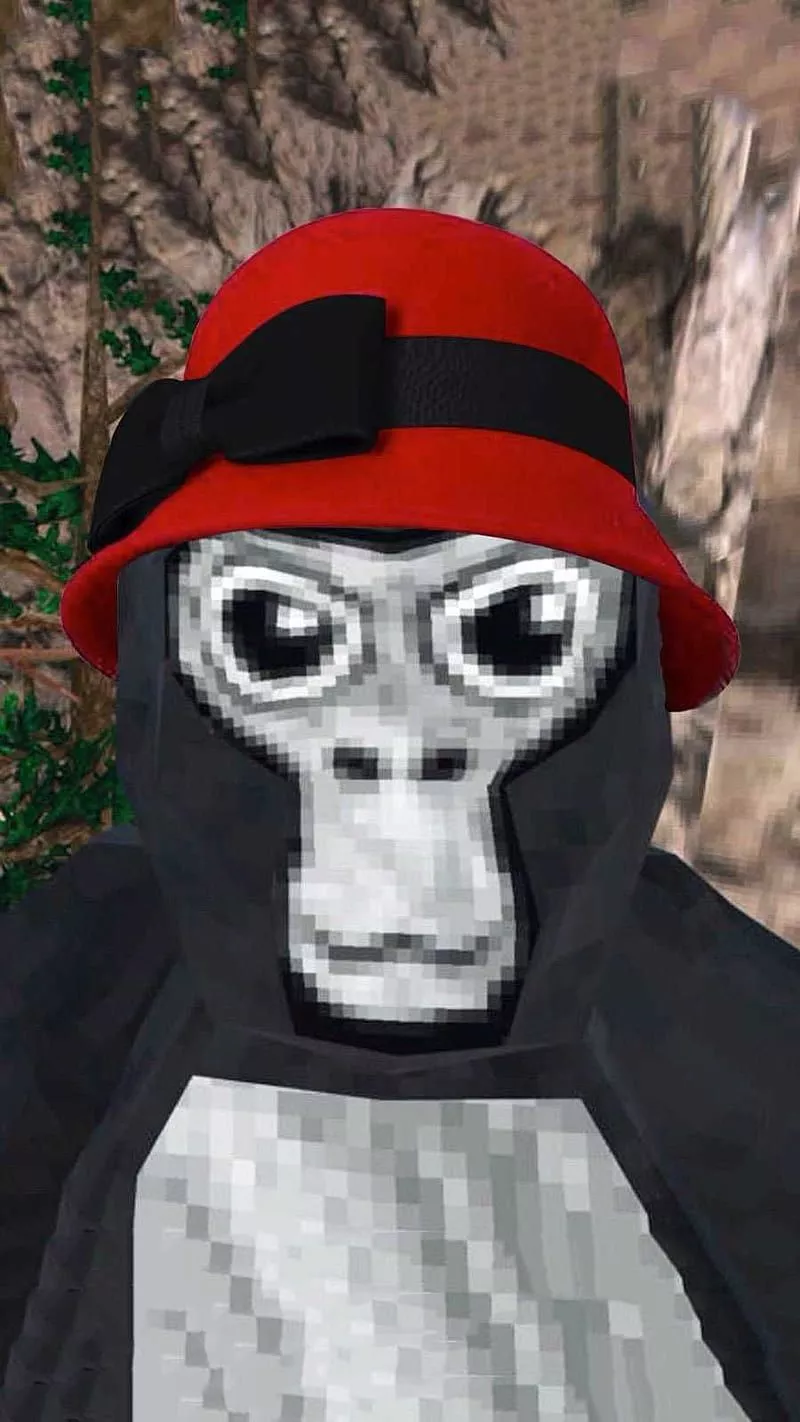 Computer Gorilla Tag, HD wallpaper