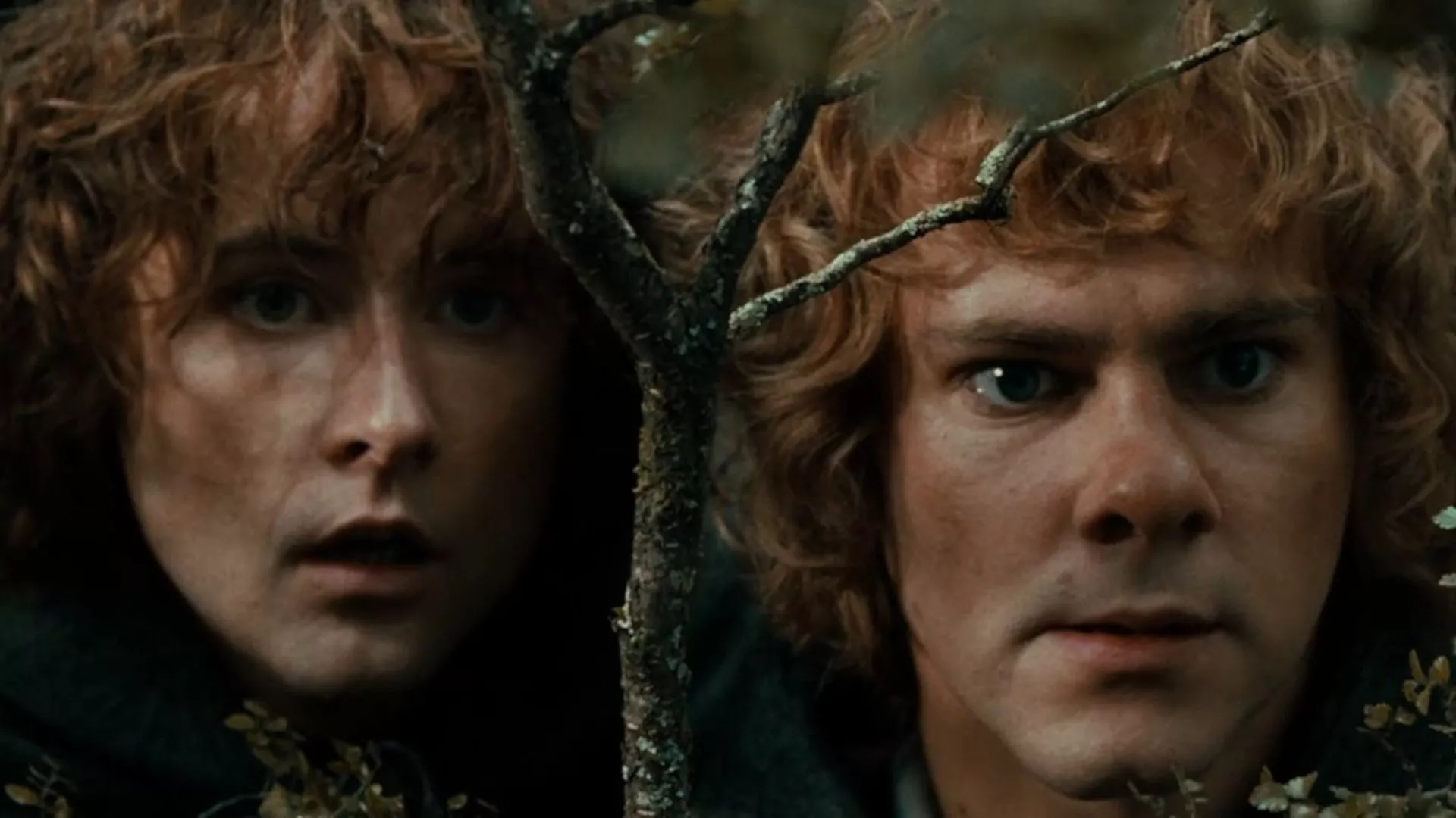 Lord of the Rings) Wallpaper