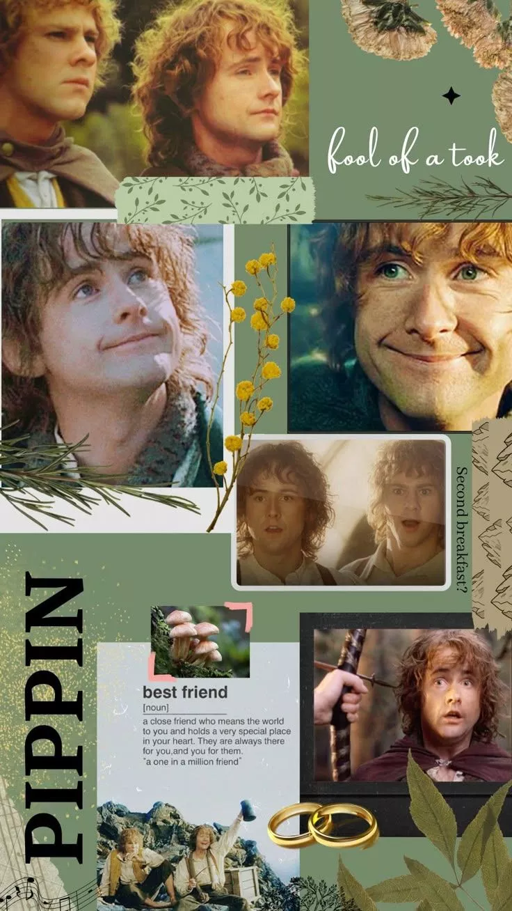 Pippin Took Collage