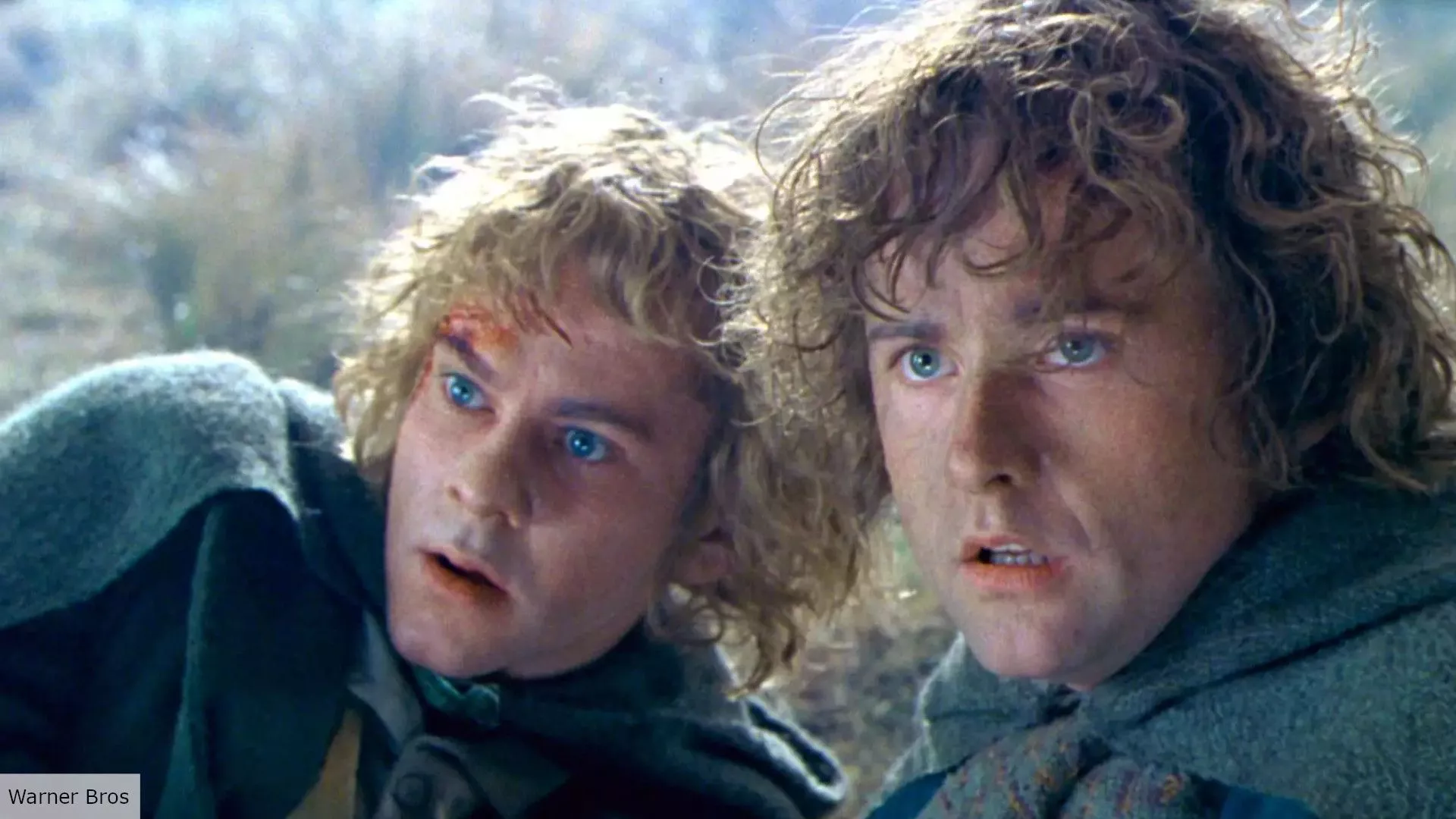 Merry and Pippin's fate after the movies