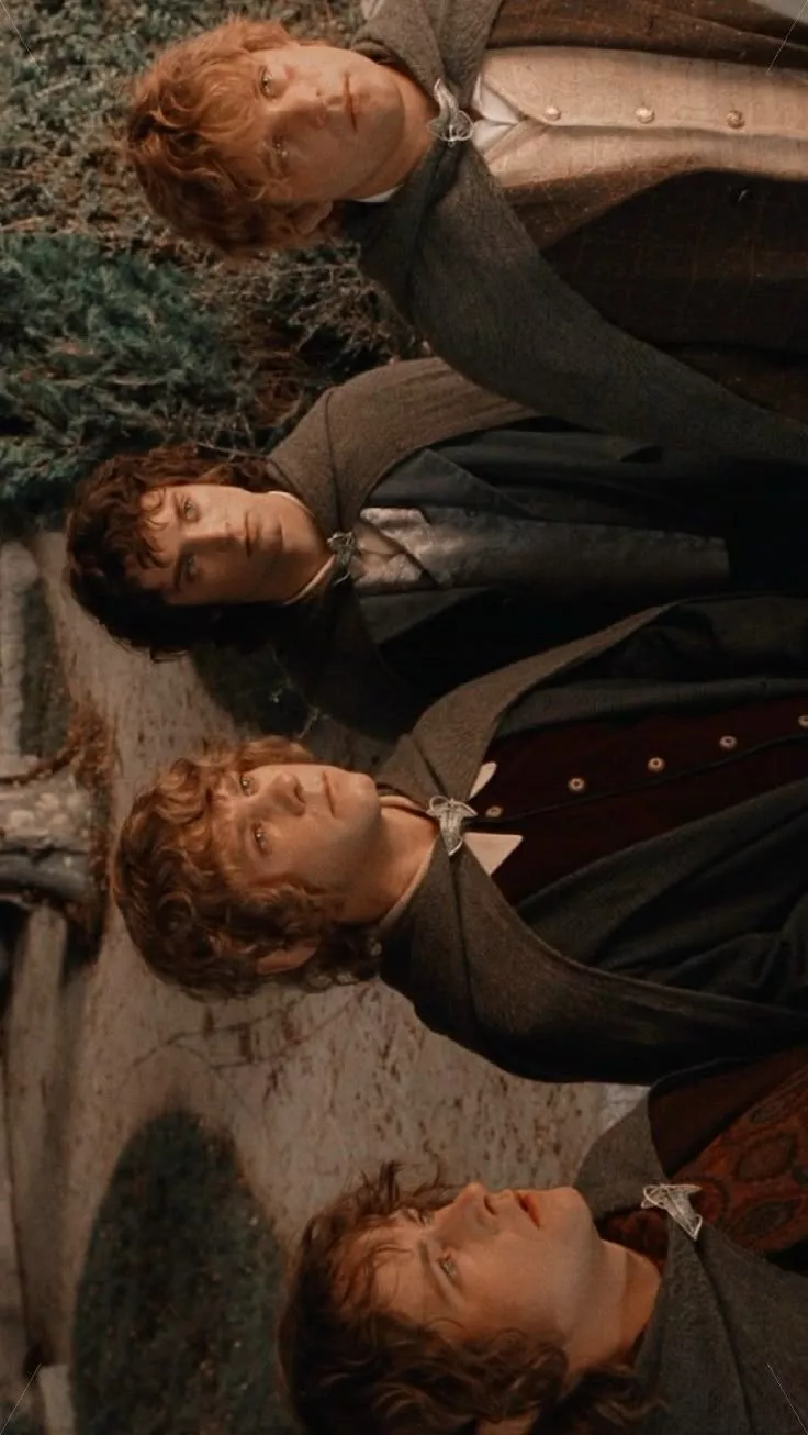 Pippin Merry Sam and Frodo ⎢wallpaper