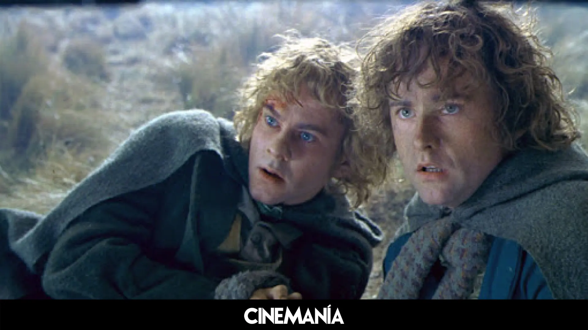 Merry y Pippin casi se desnudan en 'El