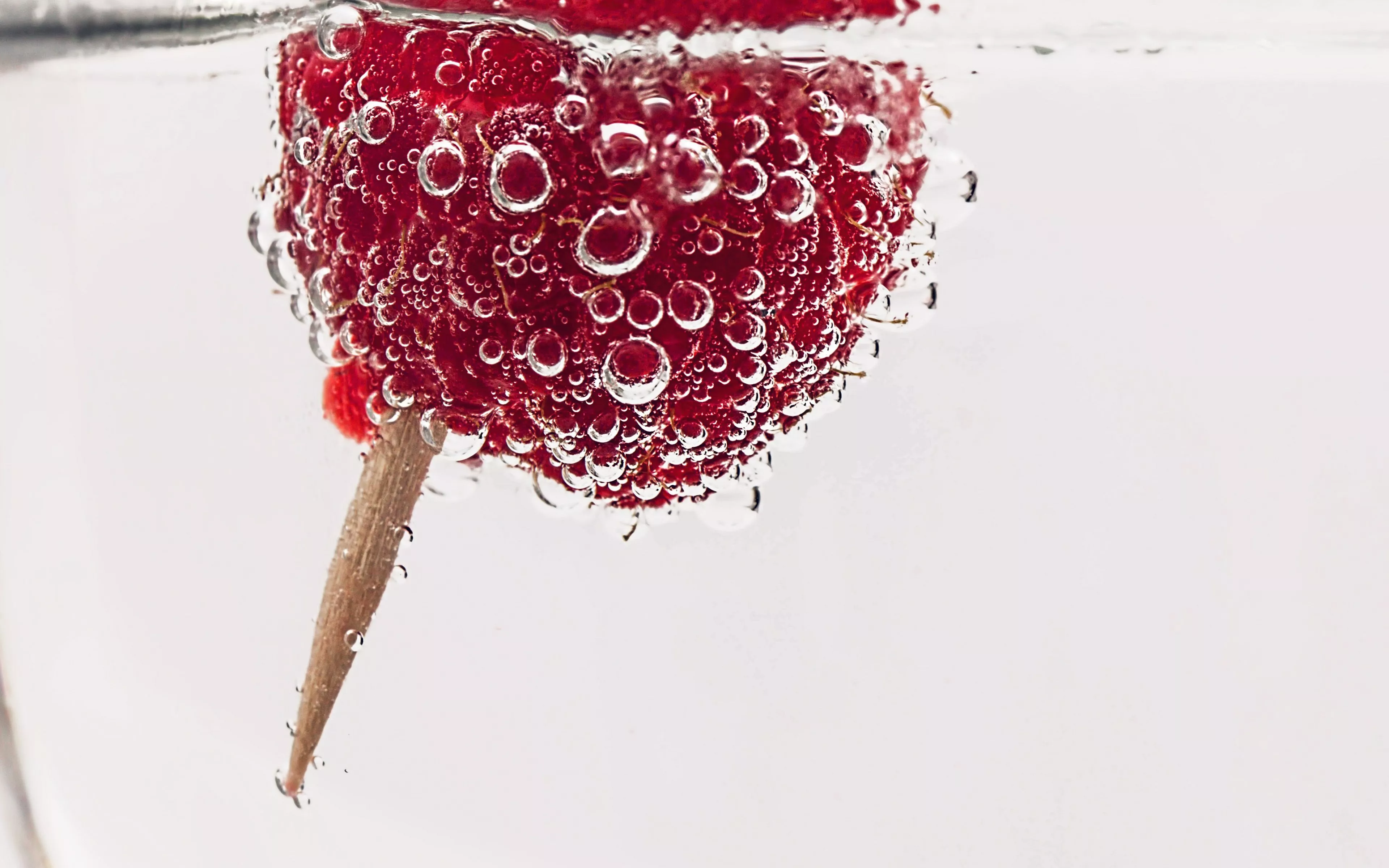 Cocktail Drink Glass Water Food