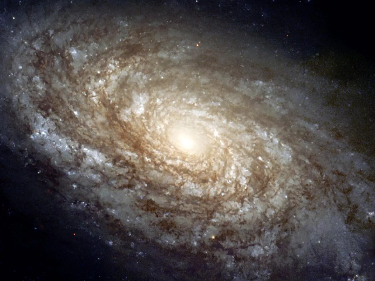 Picture of the Entire Milky Way