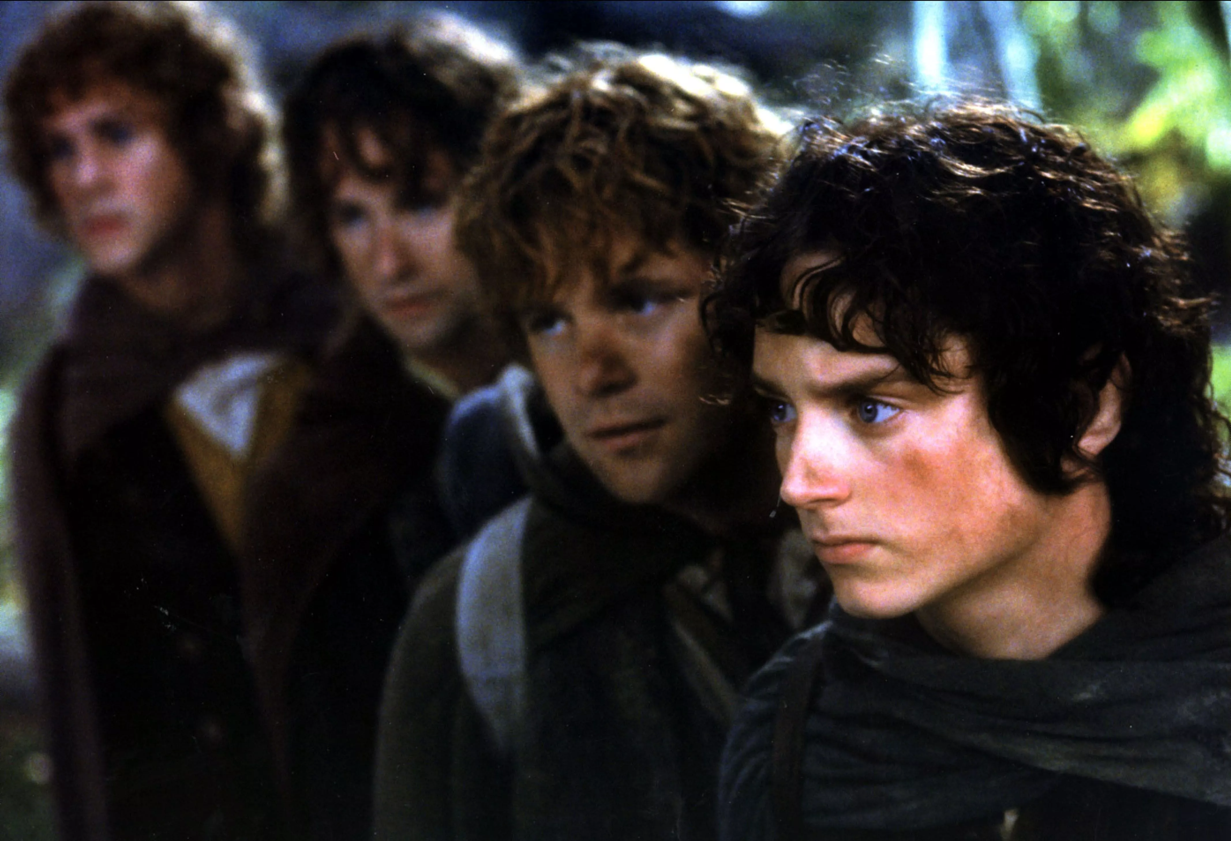 Samwise Gamgee Frodo Baggins Movie