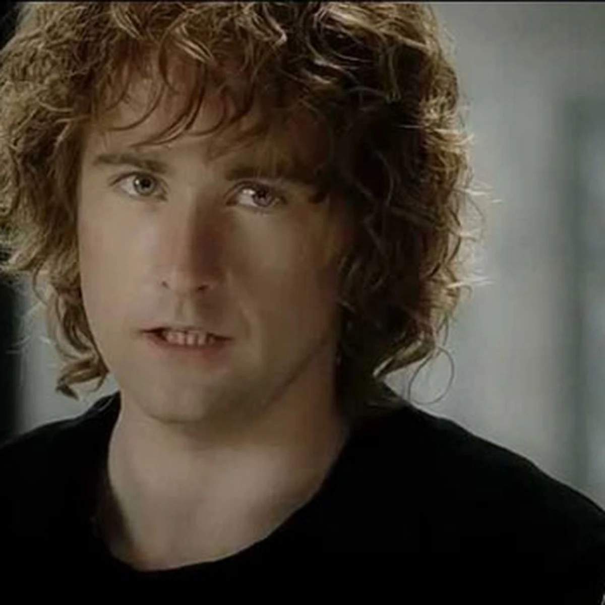 Peregrin Pippin Took