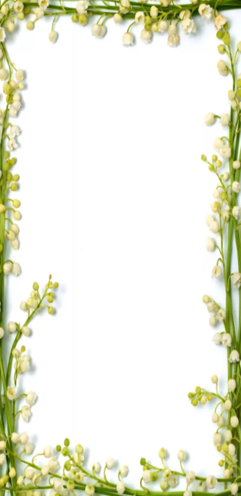 yellow, HD phone wallpaper