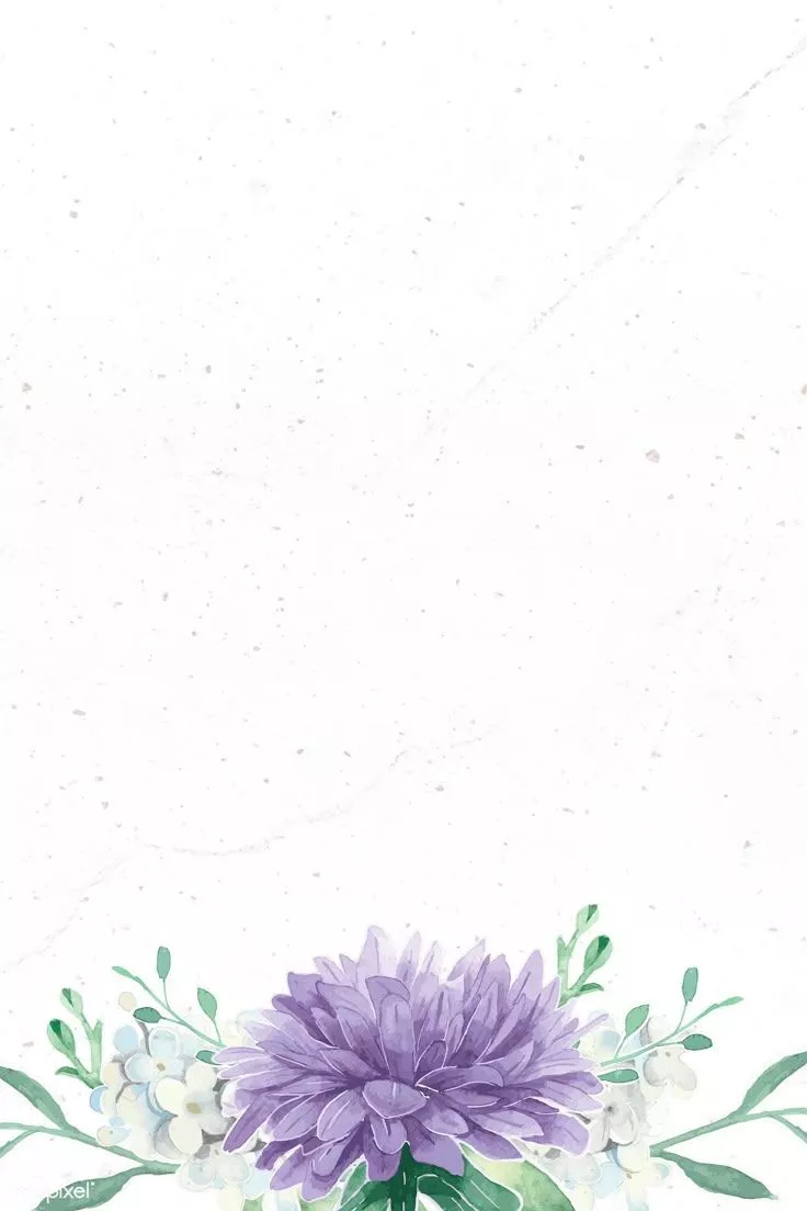 background, border, flower