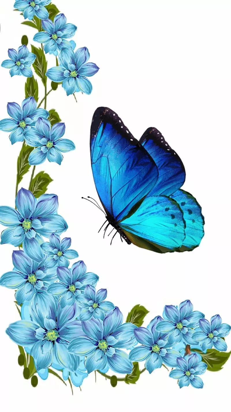 blue, border, butterfly, flowers, neon