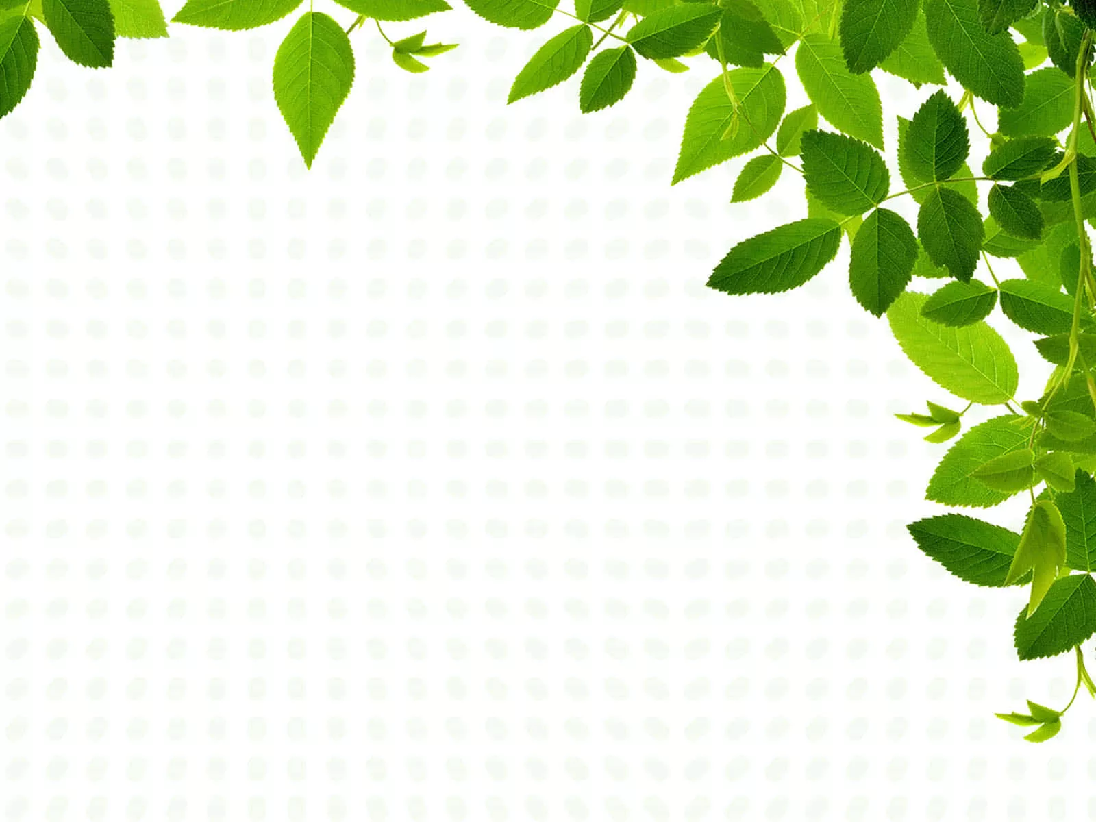 Green Border Leaves PPT Background