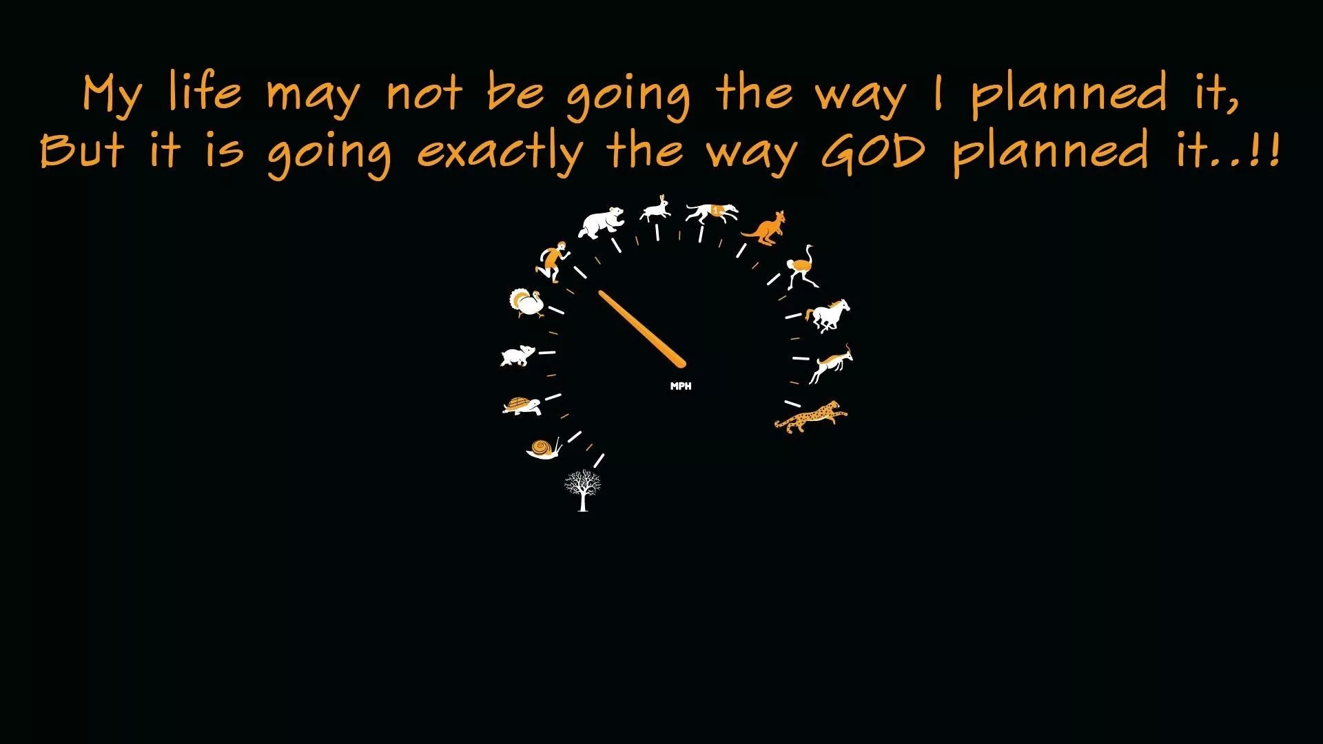 Cute Wallpaper Quotes