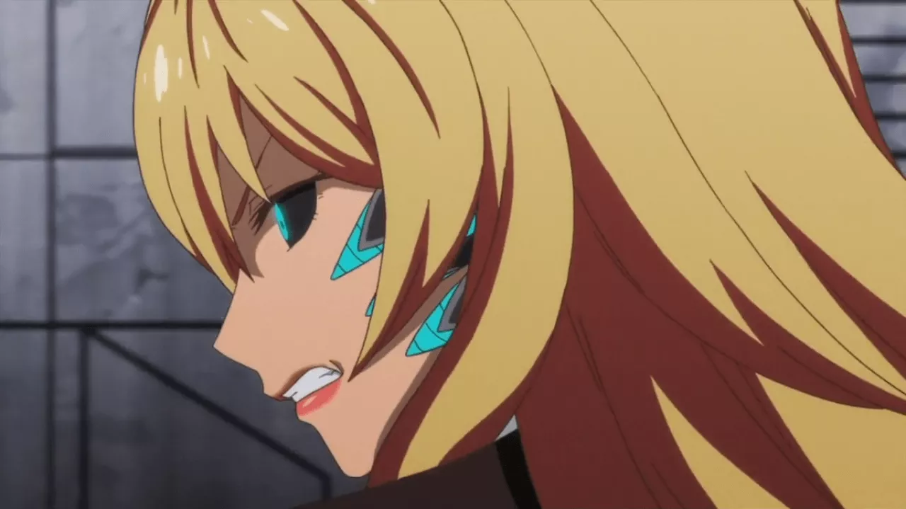 Shikishima Mirei Anime Shelf