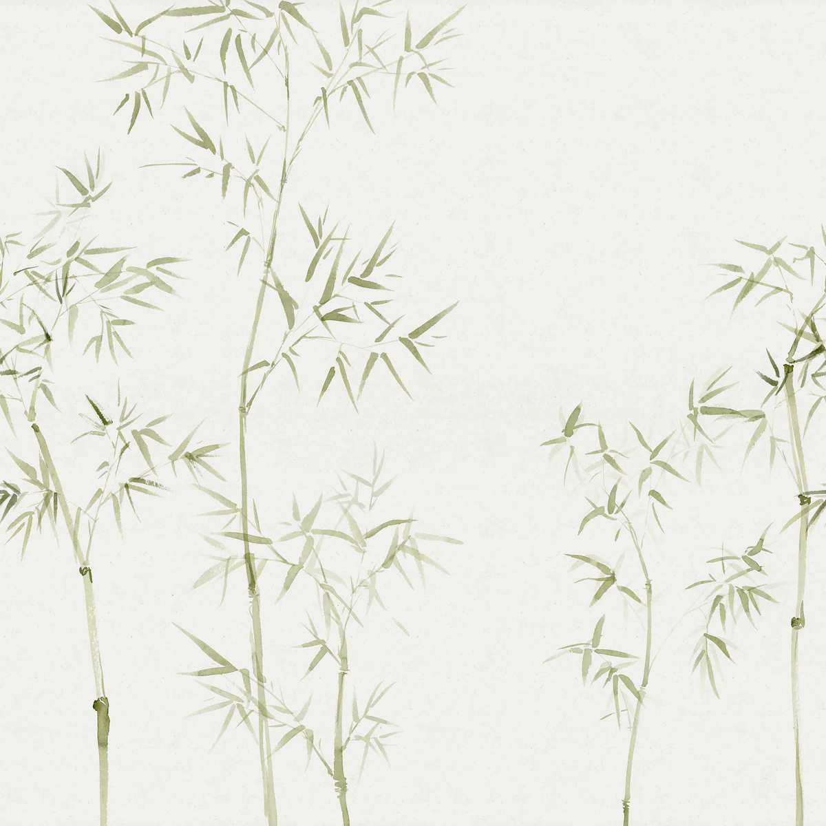 Bamboo Garden, Japanese Mural Wallpaper