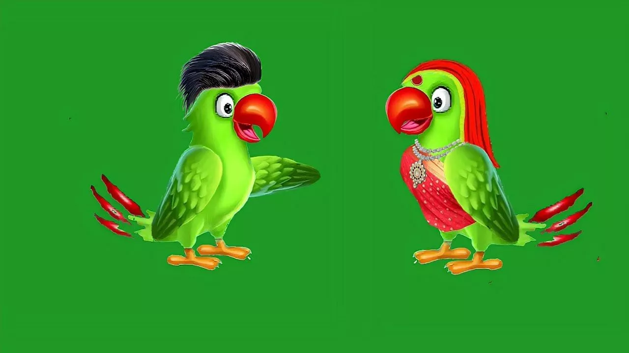 Parrot Bird Cartoon Green Screen Parrot
