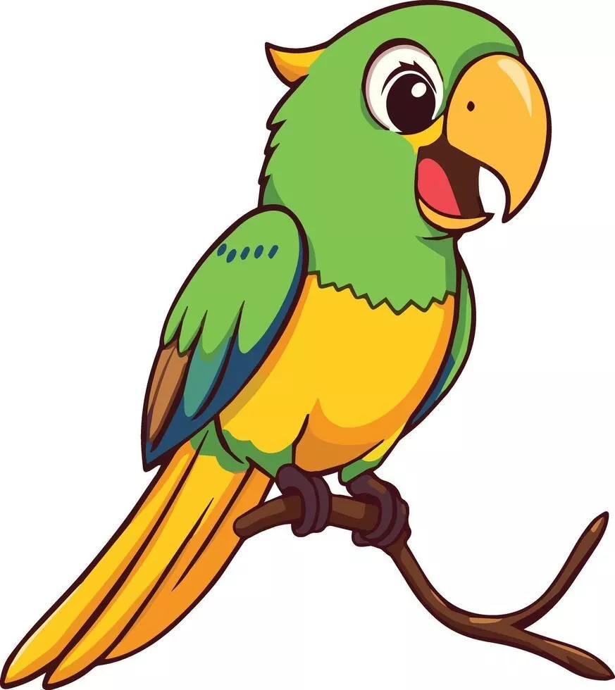 Parrot Cartoon Wallpaper Vector Art