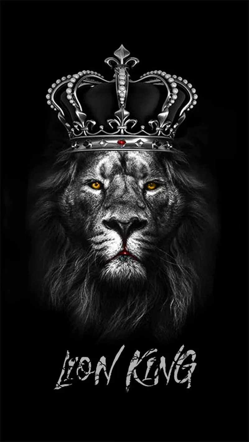 black, lion, lions, HD phone wallpaper