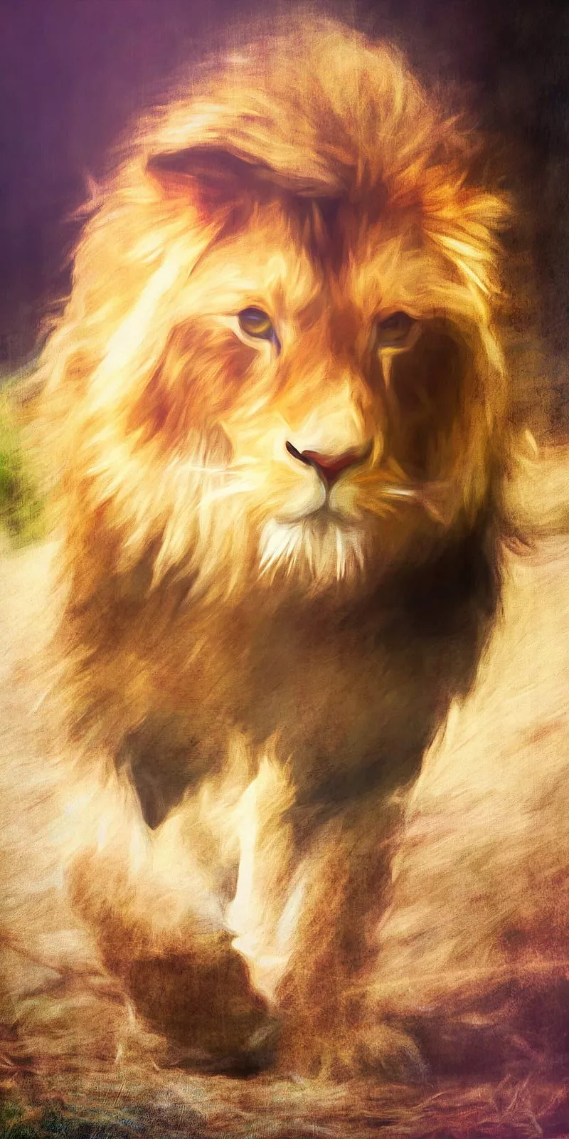 Lion, animals, fearless, HD phone