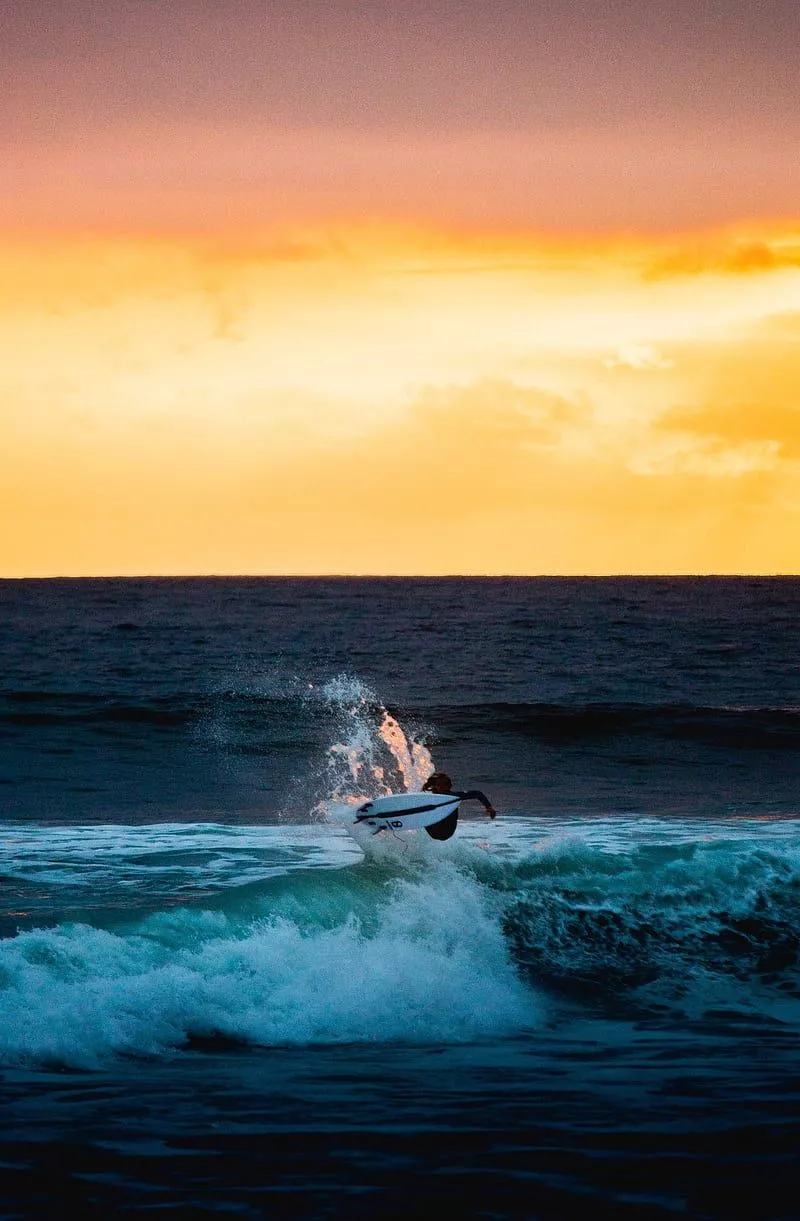 Surfer, surfing, wave, horizon, sunset