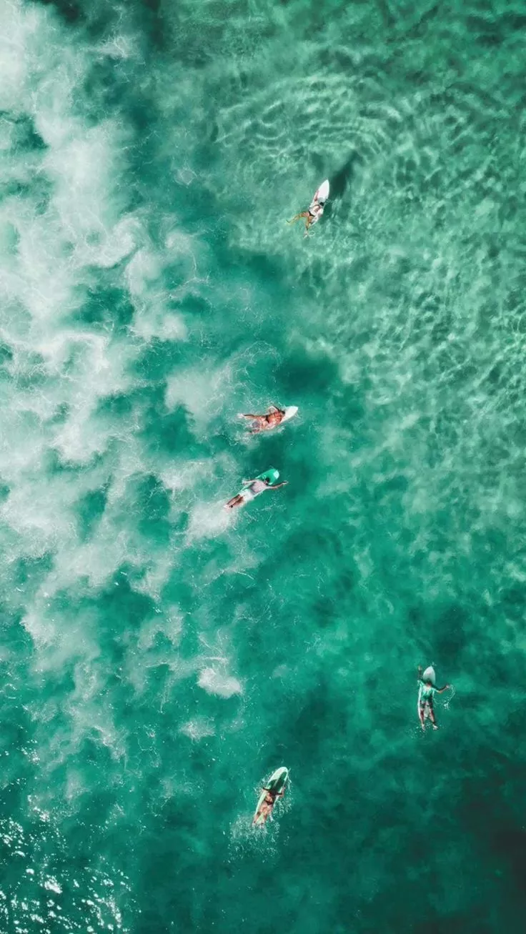 Most Popular Surfer From Wallpaper