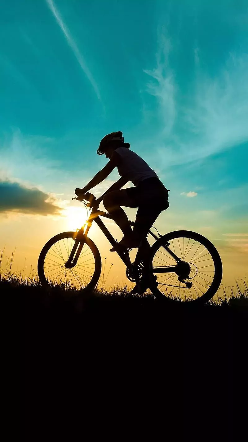 Bicycle, cycling, morning, HD phone