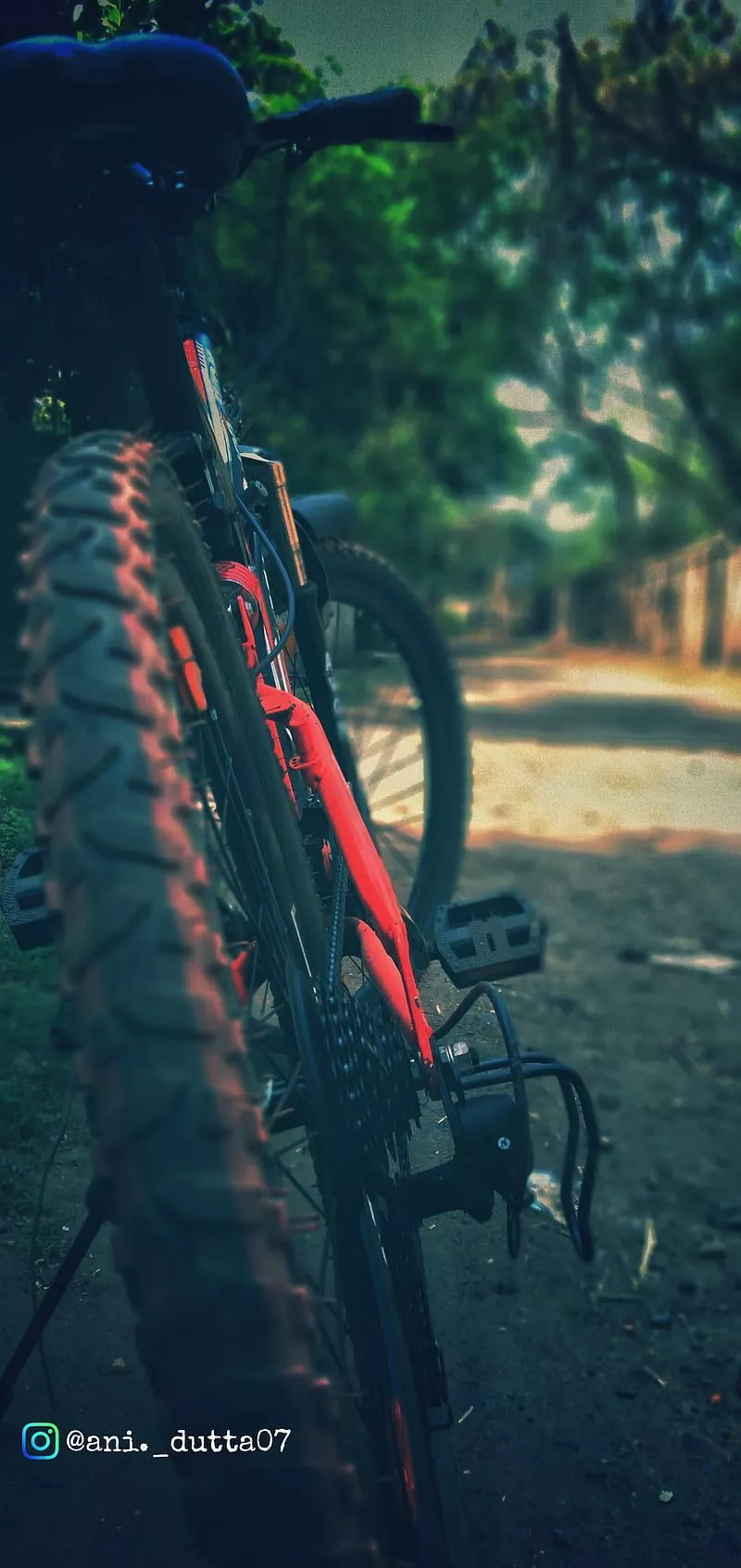 MTB, cycle, downhill, mountain, graphy