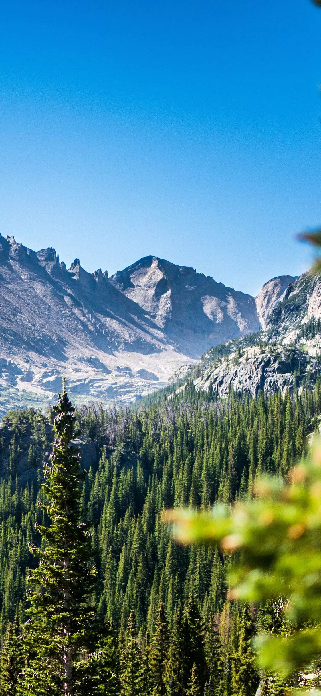 iPhone X wallpaper. nature mountain green tree