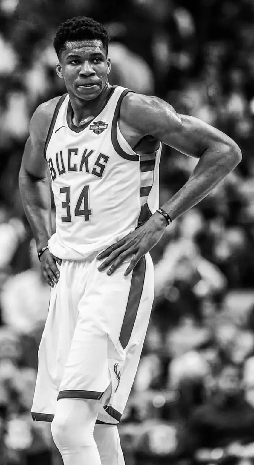 IPhone Milwaukee Bucks Giannis