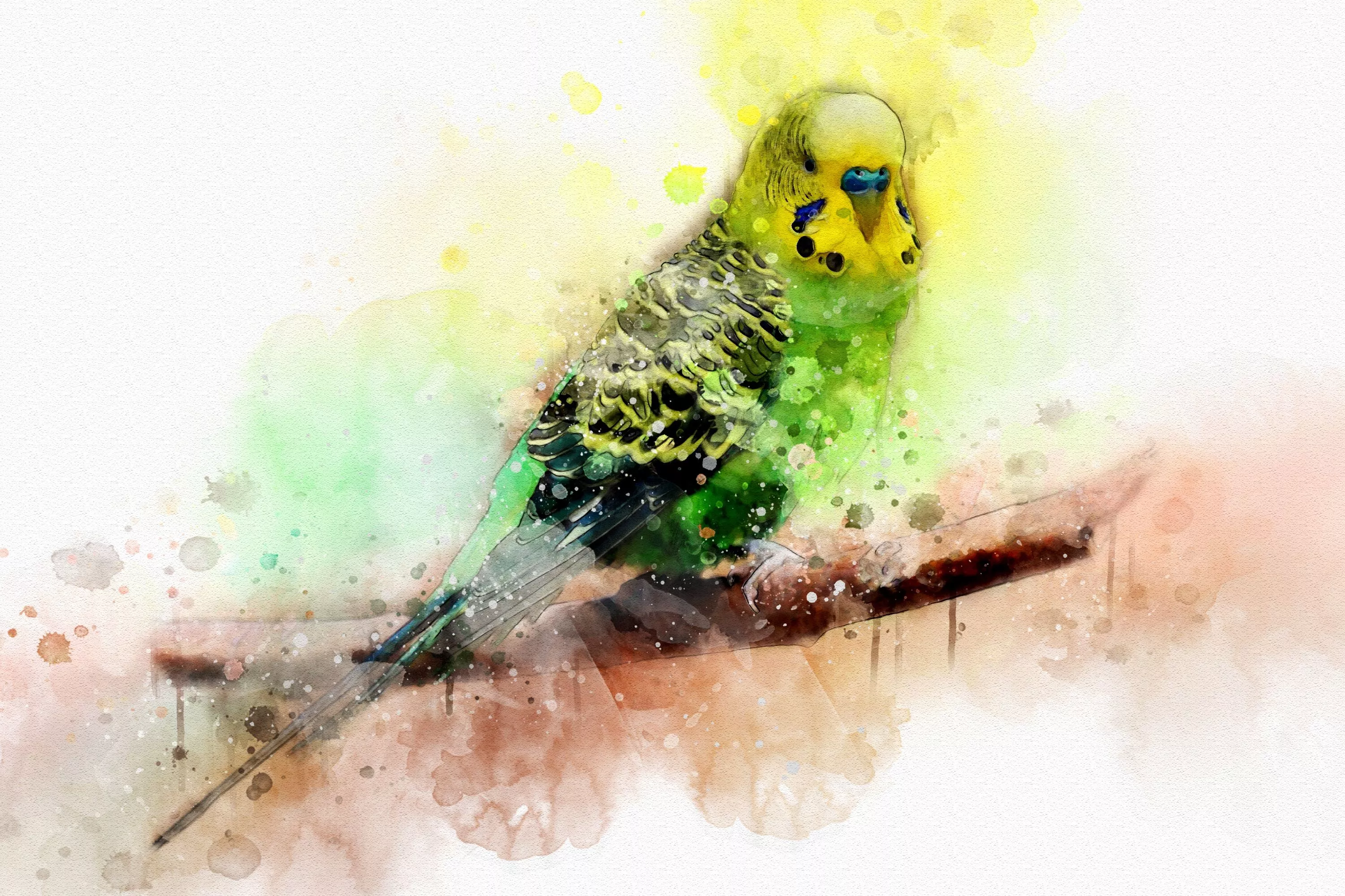 Download Parrot Bird Watercolor Animal