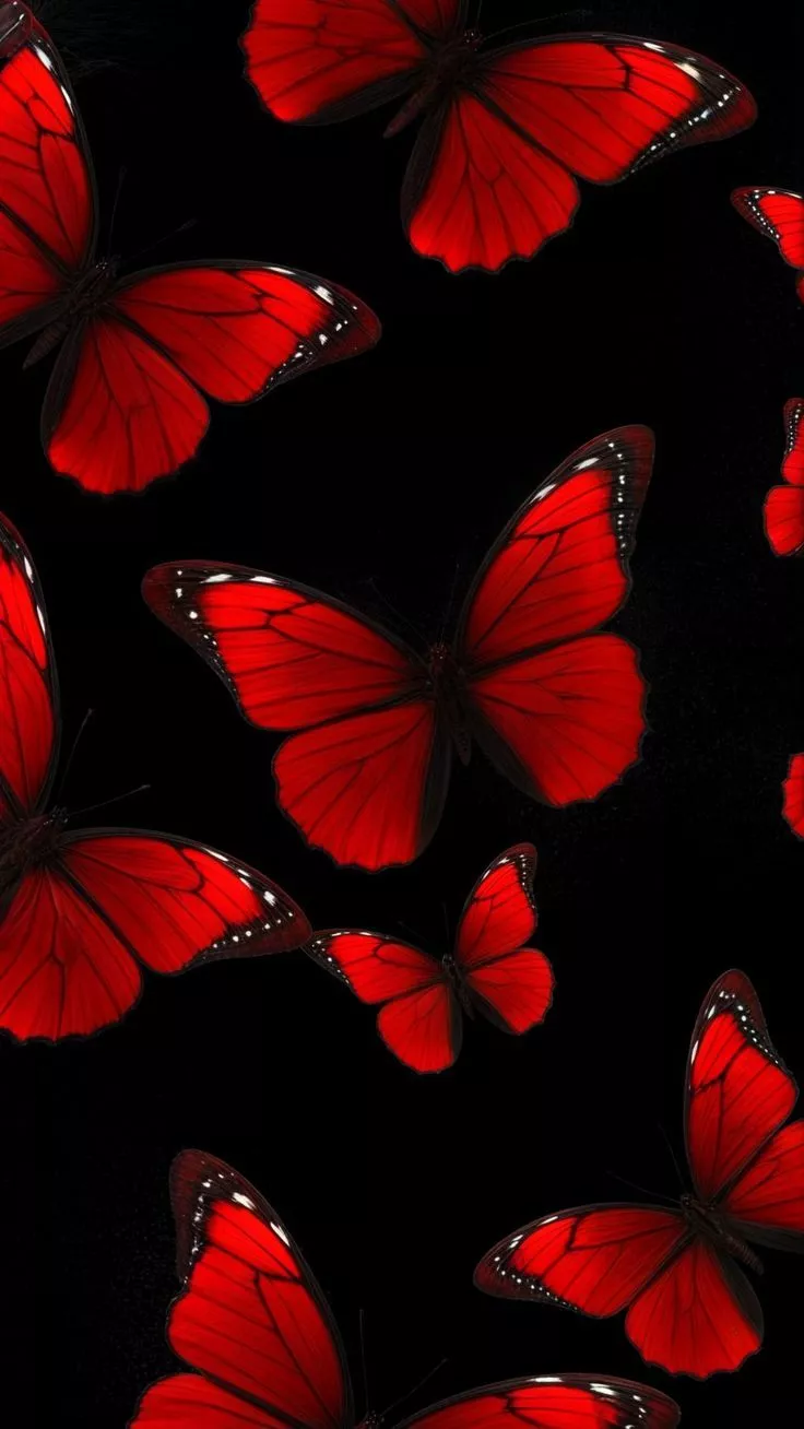 butterflies wallpaper