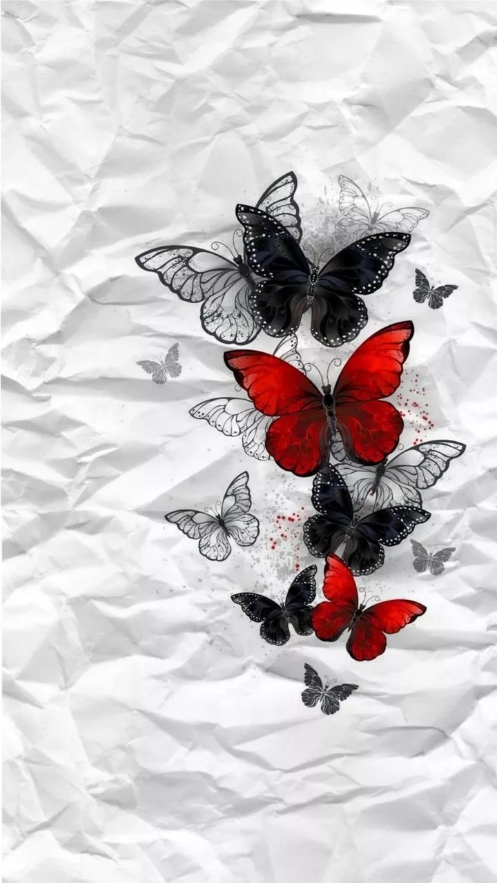 borboleta