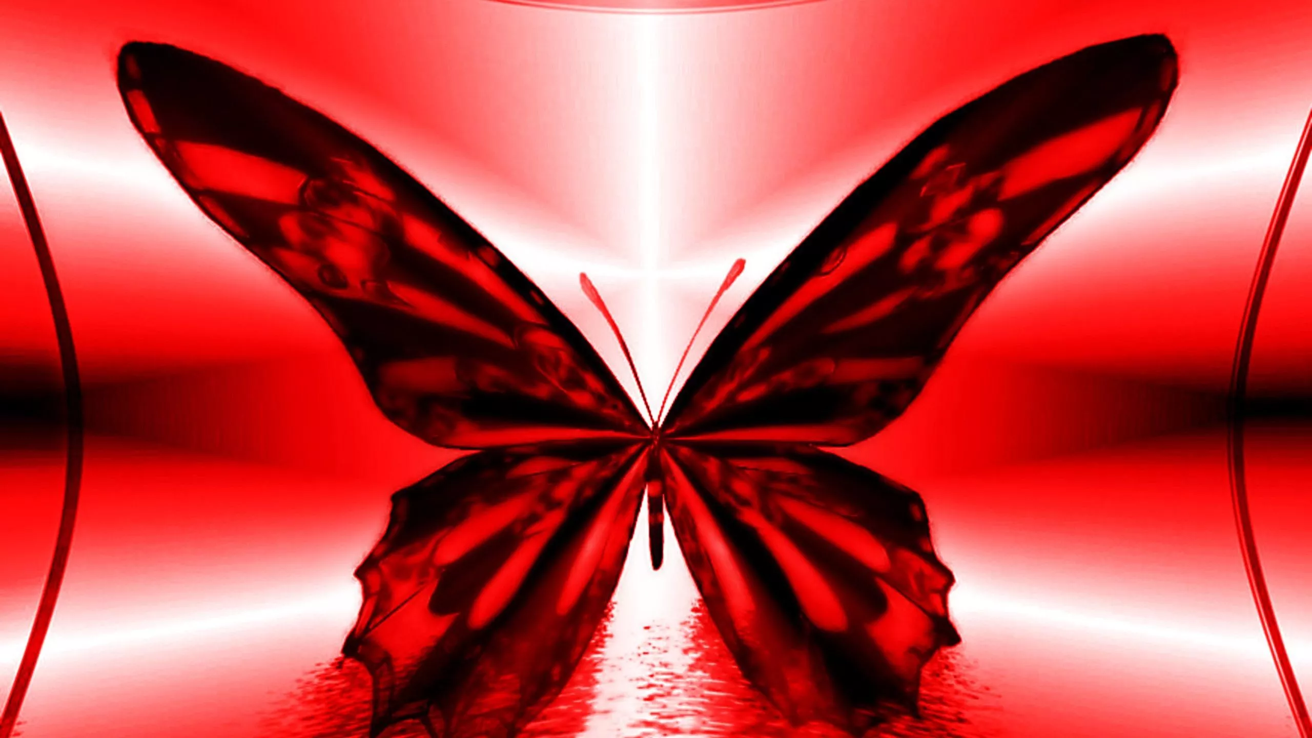 Red Lights Background HD Red