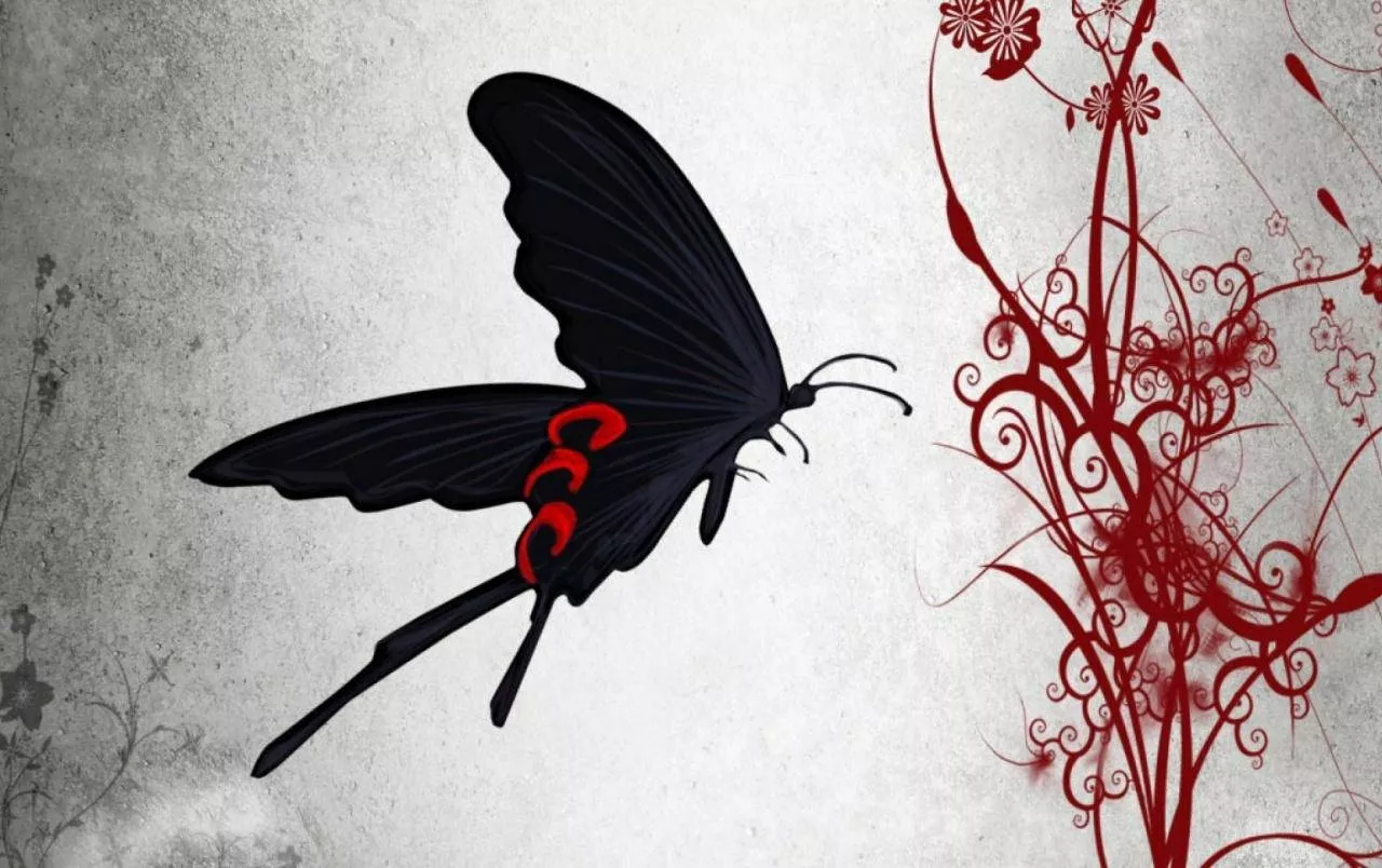 Black Butterfly Red Spots On Back