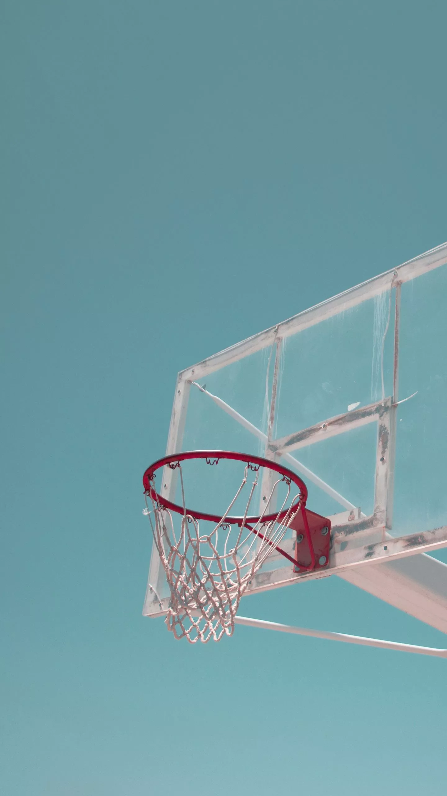 Download wallpaper 1440x2560 basketball