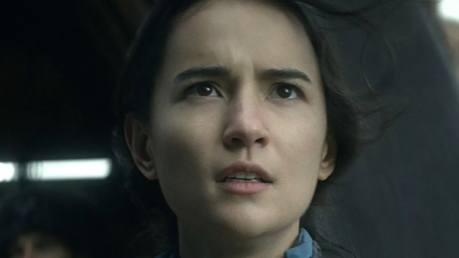 Who Is Shadow And Bone's Alina Starkov?