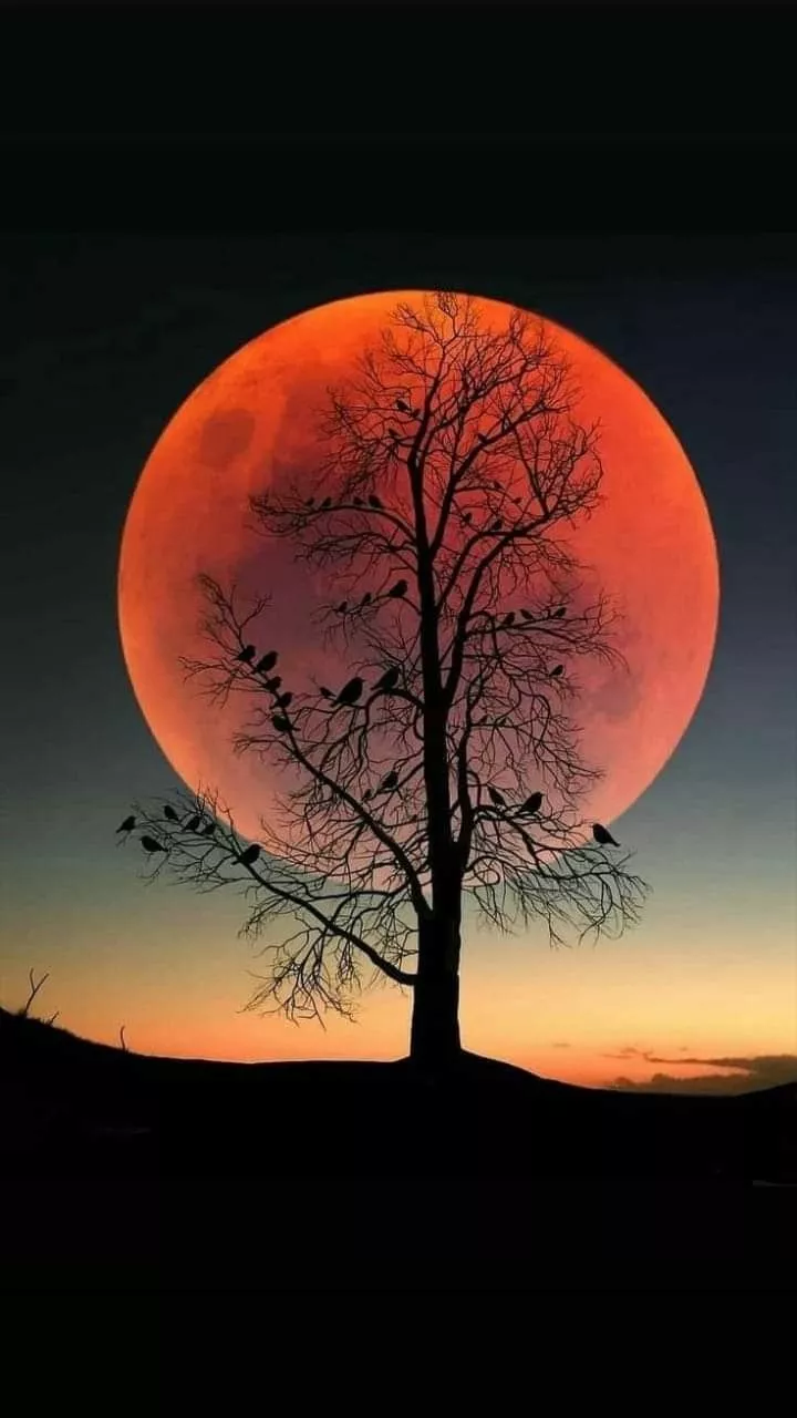 Midnight sky ideas. beautiful moon