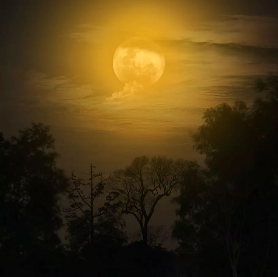 moonlight, dark, fantasy, midnight, sky