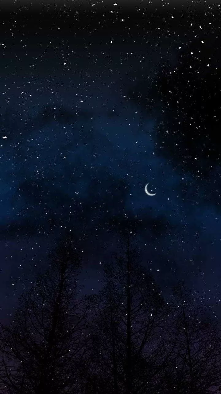 Night sky View Phone Wallpaper