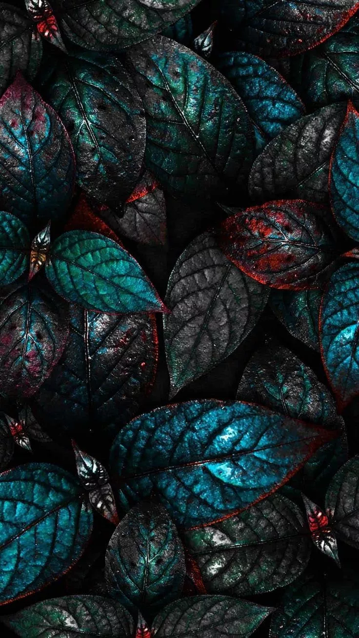 Dark Leaves Foliage iPhone Wallpaper HD