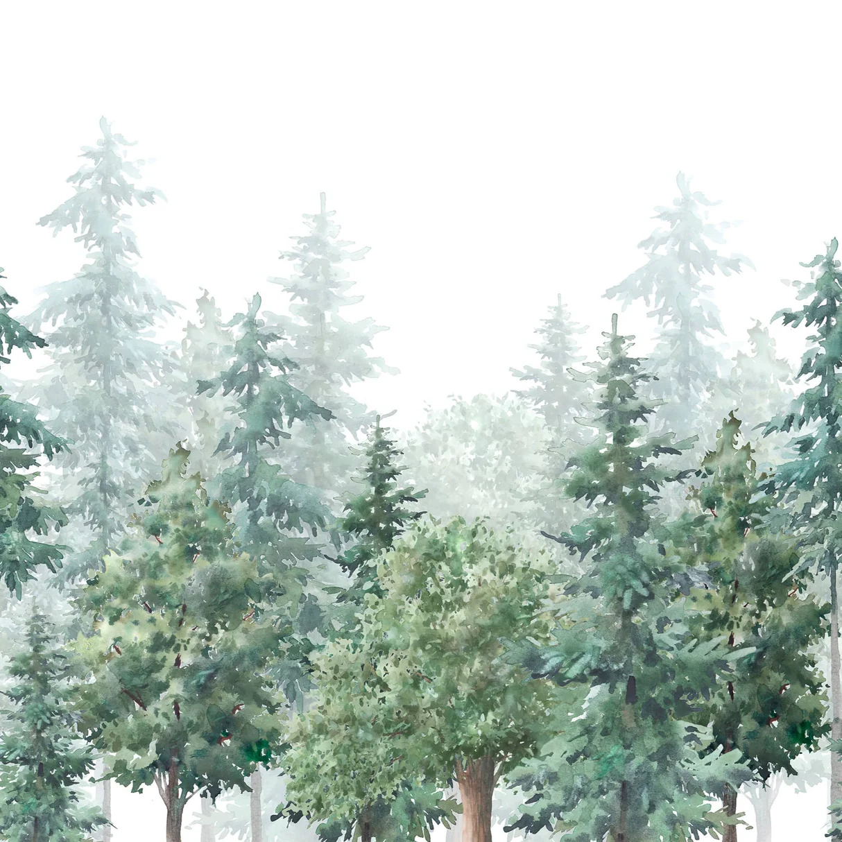 Misty Evergreen Forest Wallpaper