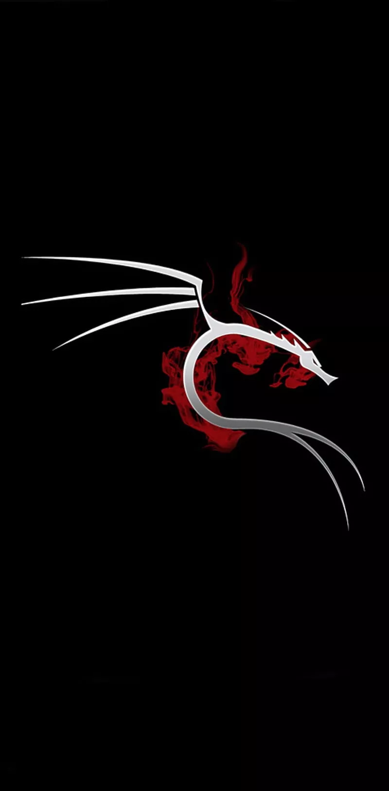 Kali Linux redflame, hacker, hacking