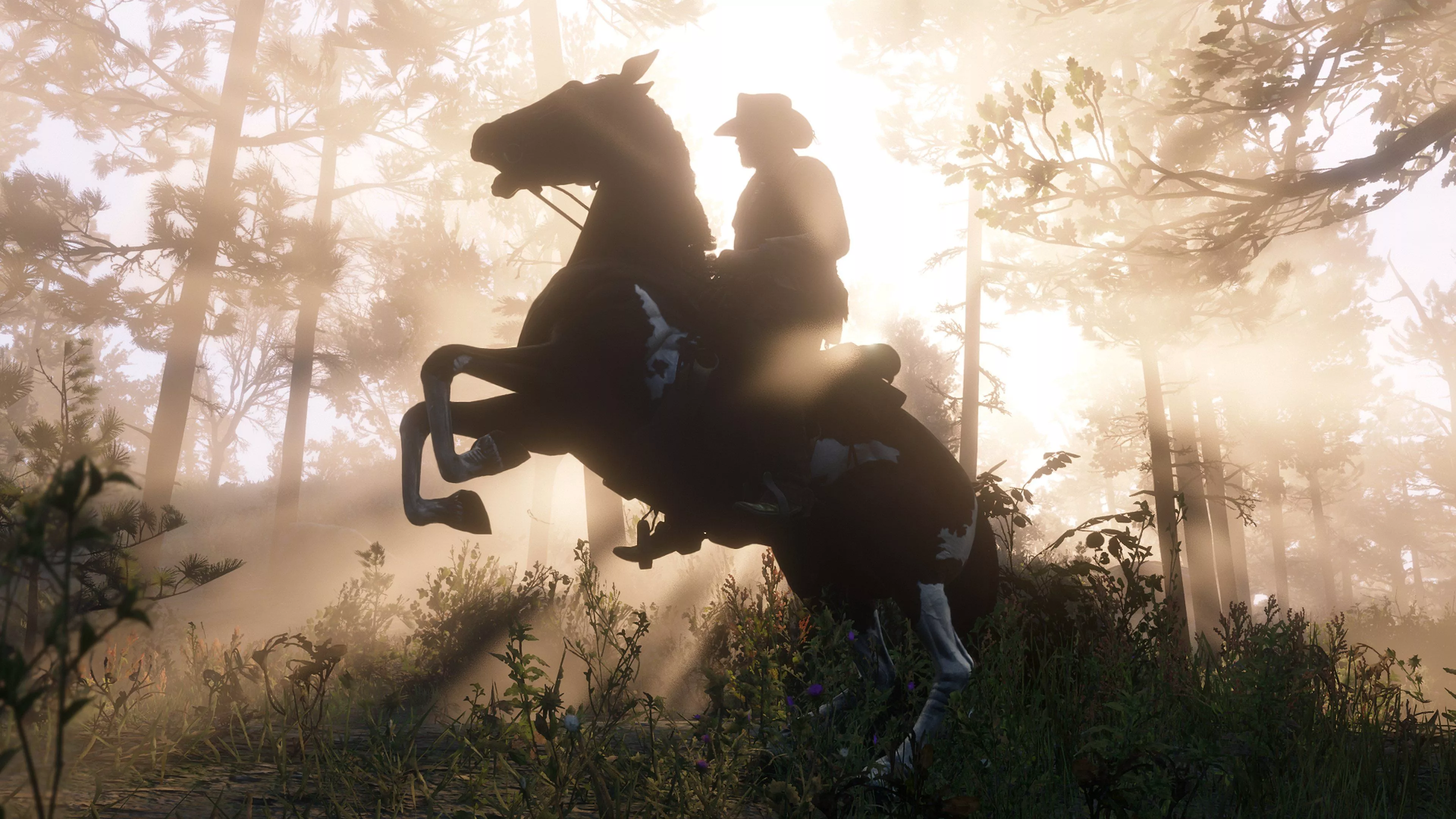 Red Dead Redemption 2 4k Ultra HD Wallpaper